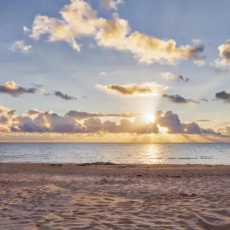 Sunny * Binz